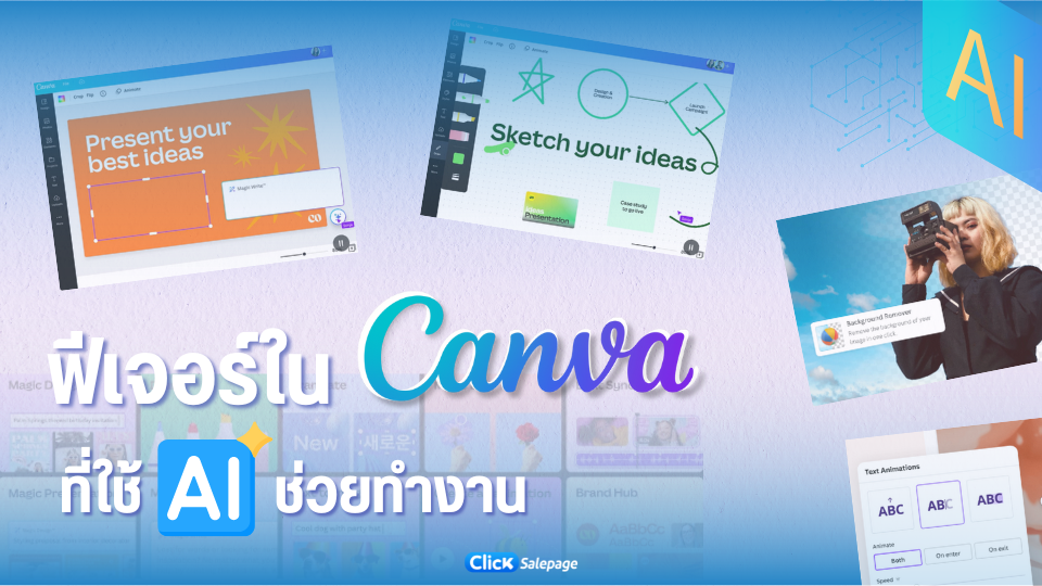 ฟีเจอร์ใหม่ใน Canva