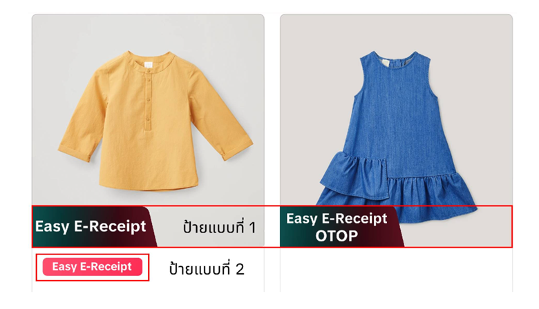 ลดหย่อนภาษีTikTok